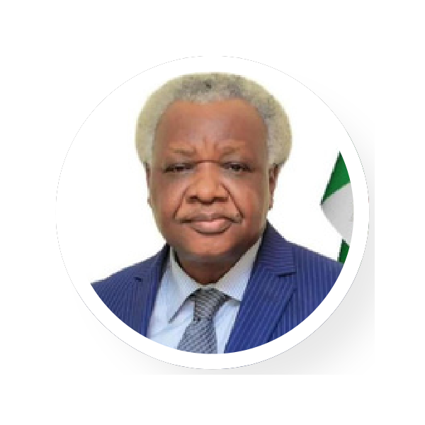 Dr. (DCN) E. D. Oko-Jaja DBA, FIMD, JP